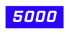 5000